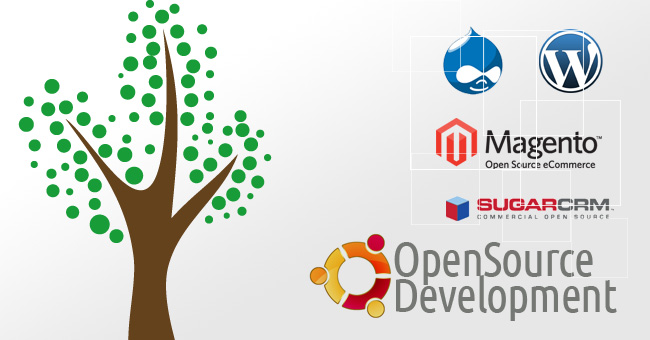 openn source development